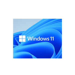 Best buy Windows 11 pro